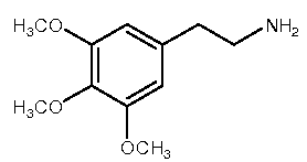 20080113091333.png